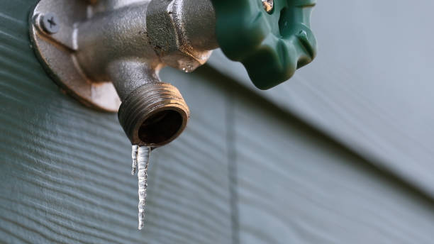 Best Commercial Plumbing Services  in Weldon, CA
